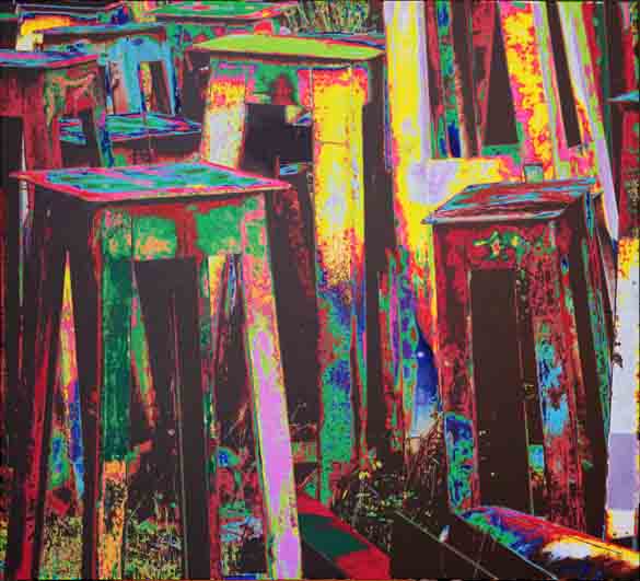 _MG_1507-_110x1645_2012