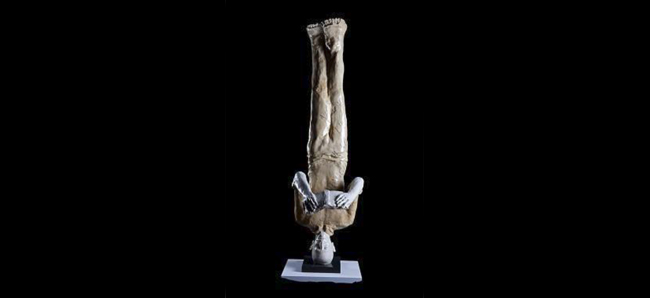 mostra_profumo_di_silenzio