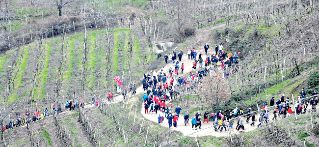 Passi_nel_Tempo_Montefortiana_Strada_vino_Soave