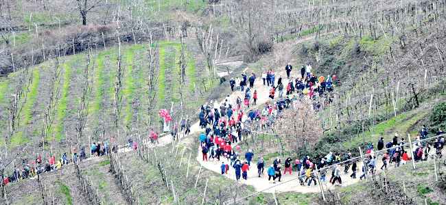 Passi_nel_tempo_Montefortiana_