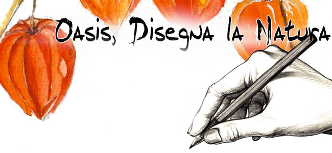 oasis_disegna_la_natura