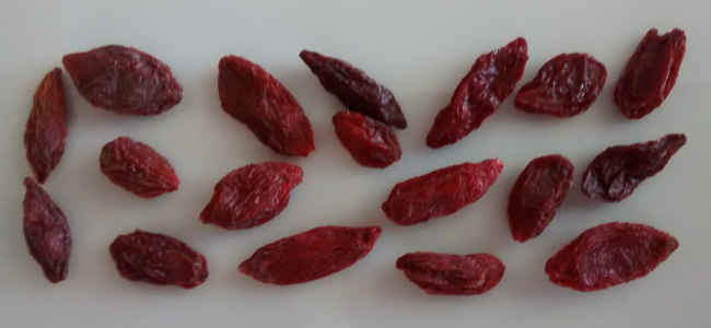 goji_bacche_ok