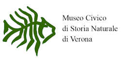 museo_civico_storia_naturale