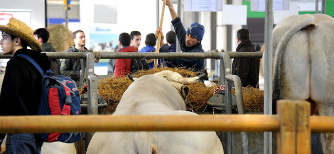Fieragricola_2014_a_Verona_ph.antonella_anti