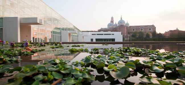 Giardino_delle_ninfee_Orto_Botanico_Padova