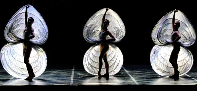momix_2