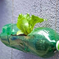 Tutto in una bottiglia