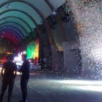 ArtVerona 15: dal mercato al Loony Park