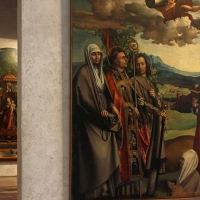 Ciò che la natura ci racconta con l'arte