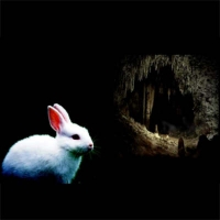 Orwell 2.0 - (Privacy e Tecnopatia)