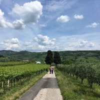 Camminate San Martino - mercoledì