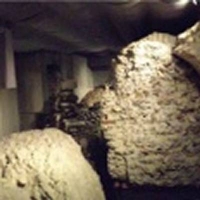 Area Archeologica Corte Sgarzerie e Vinitaly