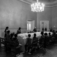 La terra dei lombrichi da Alcesti