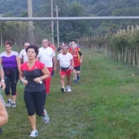  46ª Stracada de la fiera di Cavalcaselle 