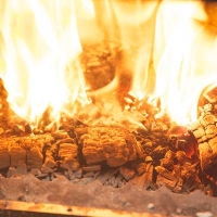 Progetto Fuoco - 11° edizione