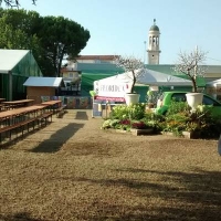 Sagra del Patrono di San Massimo