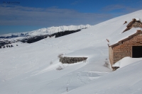Il Lupo in Lessinia: escursione e cena