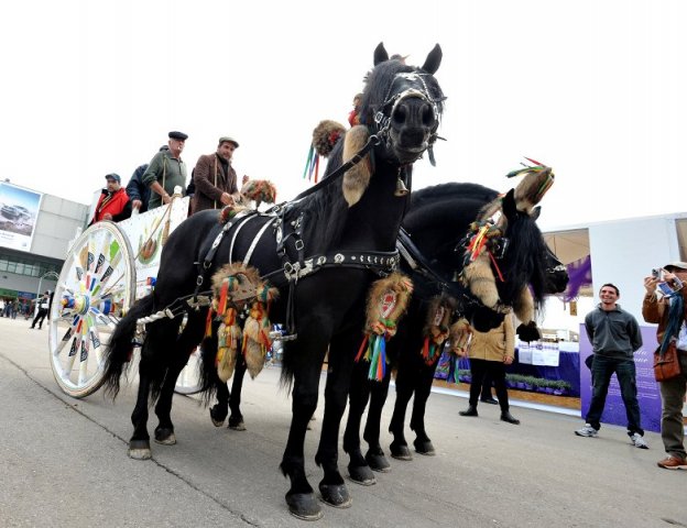 Museo delle Carrozze dell\'Ottocento